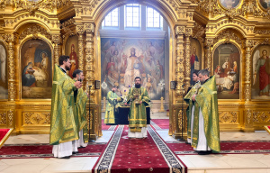 В праздник Входа Господня в Иерусалим епископ Таганрогский Артемий совершил Литургию в Ростовском кафедральном соборе  