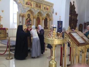 Прихожане Вознесенского храма г. Батайска совершили паломническую поездку в с. Петровка