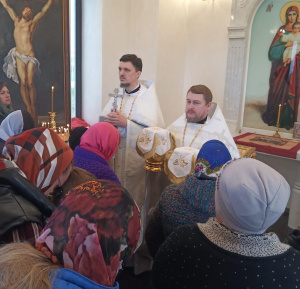 Состоялась первая Литургия в Воскресенской часовне с. Верхняя Александровка Мясниковского района