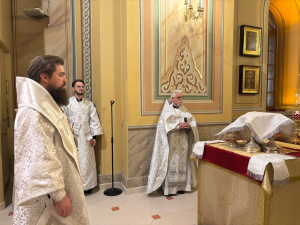 В праздник Крещения Господня епископ Таганрогский Артемий совершил Божественную литургию в Кафедральном соборе Рождества Пресвятой Богородицы г. Ростова-на-Дону