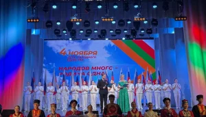 Руководитель Епархиального отдела по взаимоотношениям Церкви с обществом и СМИ принял участие в фестивале, посвященном празднованию Дня народного единства