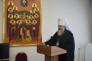 Глава Донской митрополии принял участие в годовом собрании Волгодонской епархии