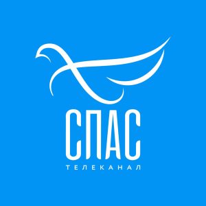 На телеканале «Спас» вышел сюжет о семинаре в Оптиной пустыни, где выступил ректор Донской духовной семинарии