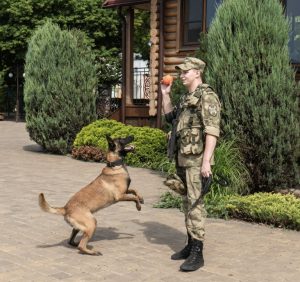 Для детей воскресной школы при храме Александра Невского была проведена встреча с инструктором кинологической службы